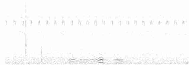 sovka štěkavá - ML481408941