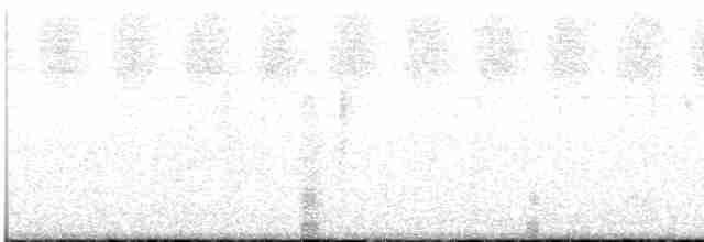 Ібіс білий - ML481425681