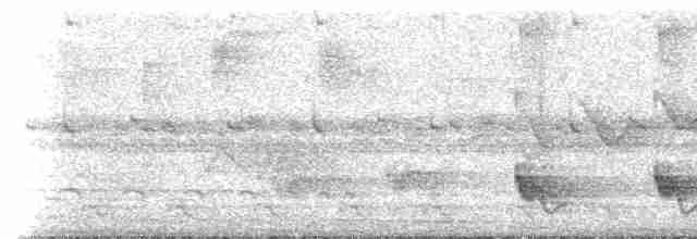 Swallow-tailed Manakin - ML481502801