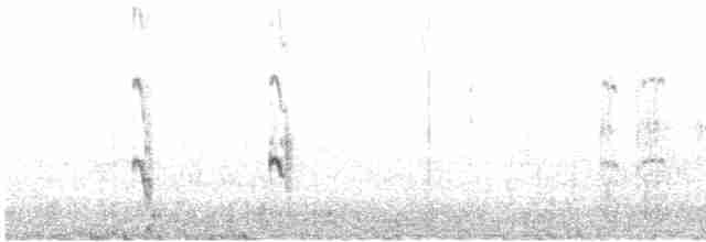 Arctic Tern - ML481543421