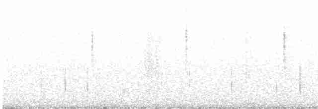 Black-throated Gray Warbler - ML481571311