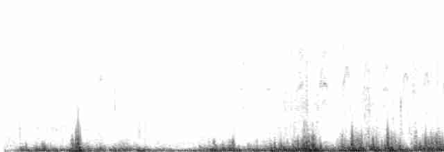 White-throated Swift - ML481576211