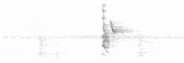 Beyaz Gerdanlı Tovi - ML481618841