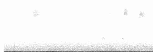 Chaparralgrasmücke - ML481633011