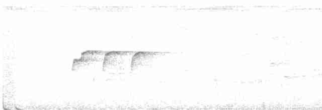 ウスグロキリハシ - ML481659371