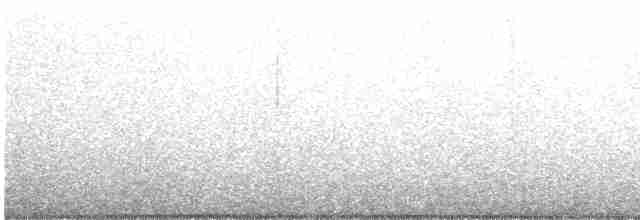 bahamaskolibri - ML481682991