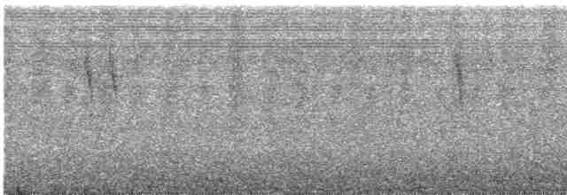 Buztanikara horia - ML481683381