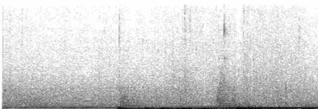 bahamaskolibri - ML481686361