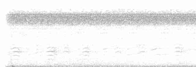 Weißbrustkleiber - ML481699911