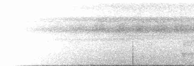 Streak-chested Antpitta (Pacific Slope) - ML481705341