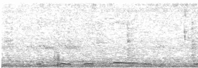 hrdlička kropenatá - ML481707001