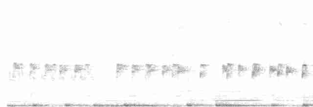シロヒゲヒメゴシキドリ - ML481719311