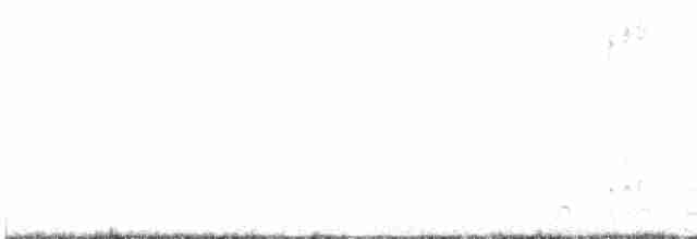 白腰叉尾海燕 - ML481742971