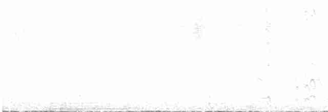 白腰叉尾海燕 - ML481742981