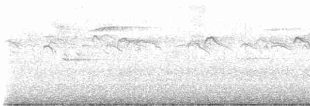 アメリカヤシアマツバメ - ML481749001