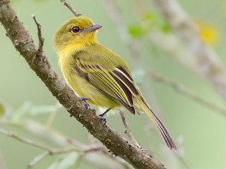 Katta Dik eshakda becerdin olishning onlayn porno videosini tomosha qiling.