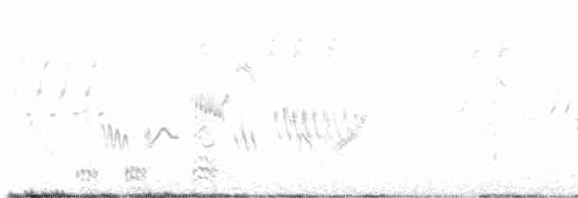 Чернозобая овсянка - ML481935021