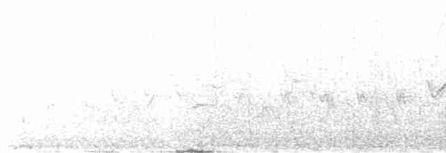 Batı Amerika Sinekkapanı (occidentalis/hellmayri) - ML481941371