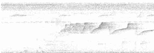 Salmonglanzvogel - ML481952371