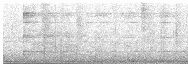 Тиранчик-мухолюб сіроголовий - ML481952391