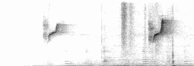 Атласная нектарница - ML481965361