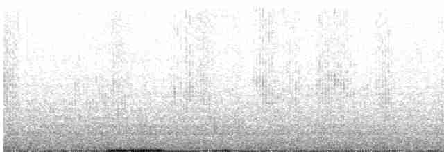 bahamaskolibri - ML481993401