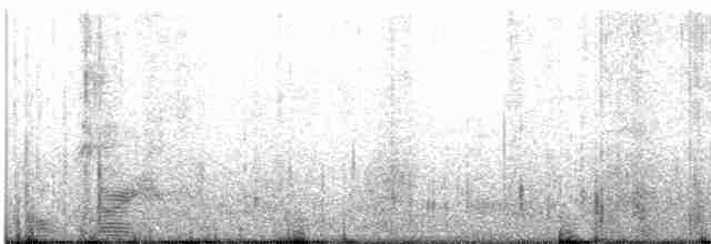bahamaskolibri - ML481995001