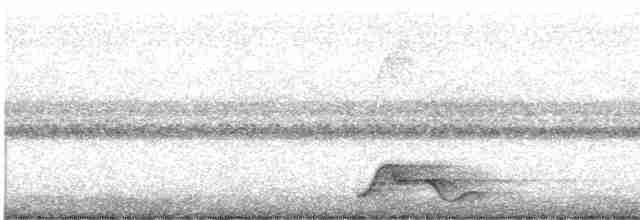 Pauraquenachtschwalbe - ML482127211