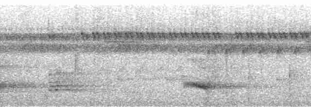 Channel-billed Toucan (Yellow-ridged) - ML48215