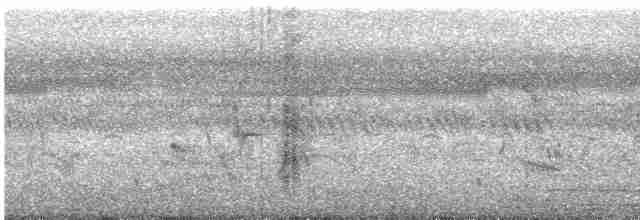חרטומית סיבירית - ML482176941