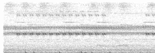 Silky-tailed Nightjar - ML482238331