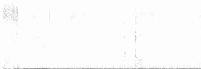 Піранга пломениста - ML482247211