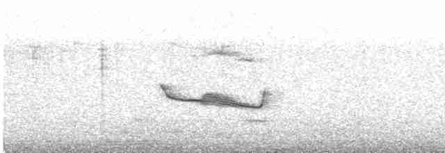 Breitspiegel-Nachtschwalbe - ML482251621