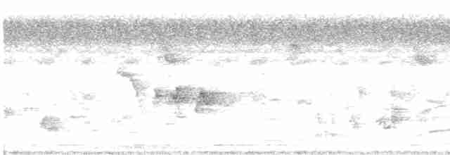 gråpannegrønndue - ML482267531