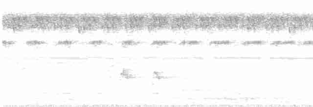 holub fialovoramenný - ML482268171