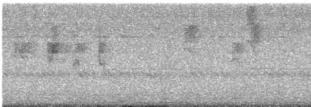 鸚鵡目(parakeet sp.) - ML482277031