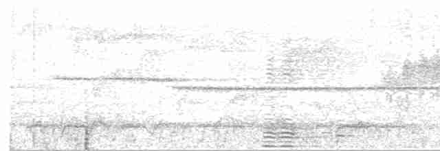 Белокрылая утка - ML482279771