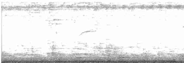 Rock Pigeon (Feral Pigeon) - ML482303751