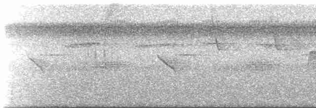 Turuncu Alınlı Papağan - ML482373671