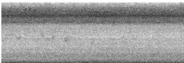 Гіла каролінська - ML482426141
