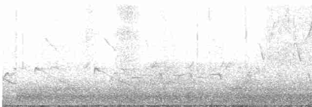 Reinita Protonotaria - ML482440761
