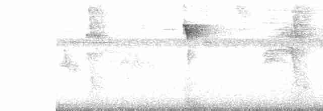 Белоплечая танагра - ML482447971