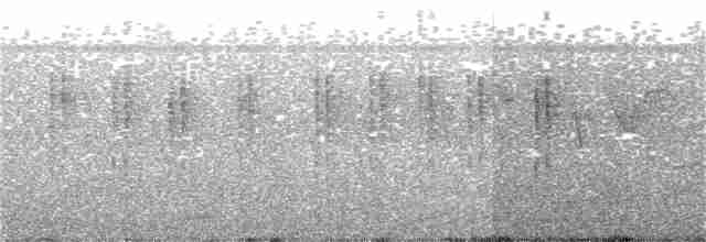 Hume's Bush Warbler - ML48248231