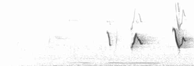 Passerin arc-en-ciel - ML48250521