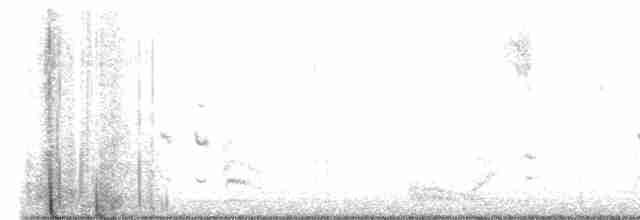 Yazılı Yelve (jamaicensis/coturniculus) - ML482520541