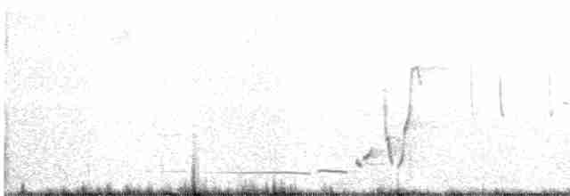 Короткокрылая камышевка - ML482538591