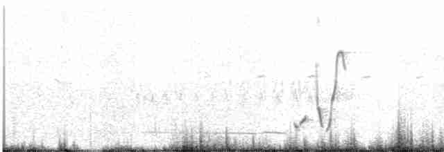 Короткокрылая камышевка - ML482539621