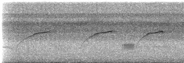 Streifenfaulvogel - ML482547691