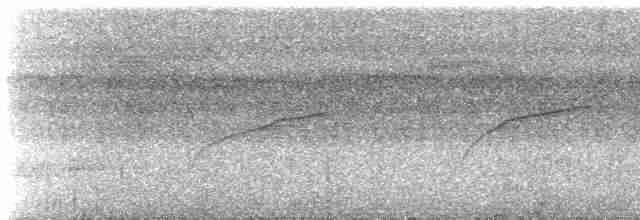 Streifenfaulvogel - ML482547701