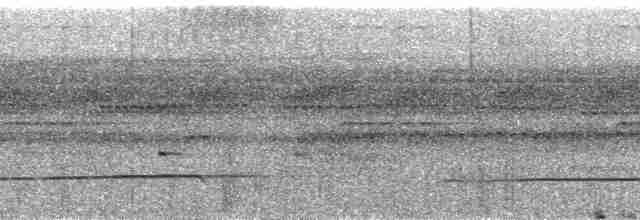Полосатая пуховка (torridus) - ML48255